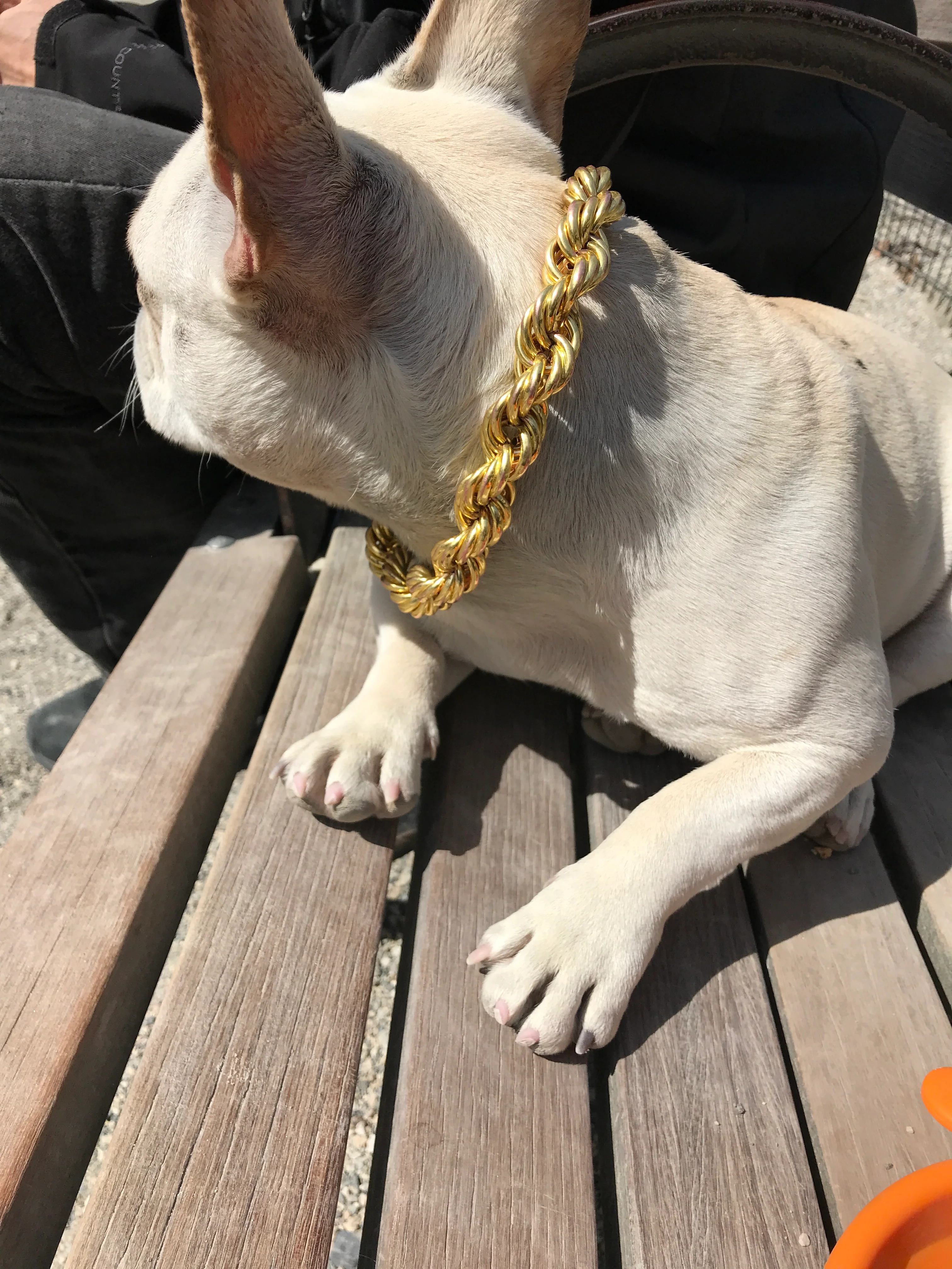 Rope Chain Dog Collar "The Dookie" - Image 8