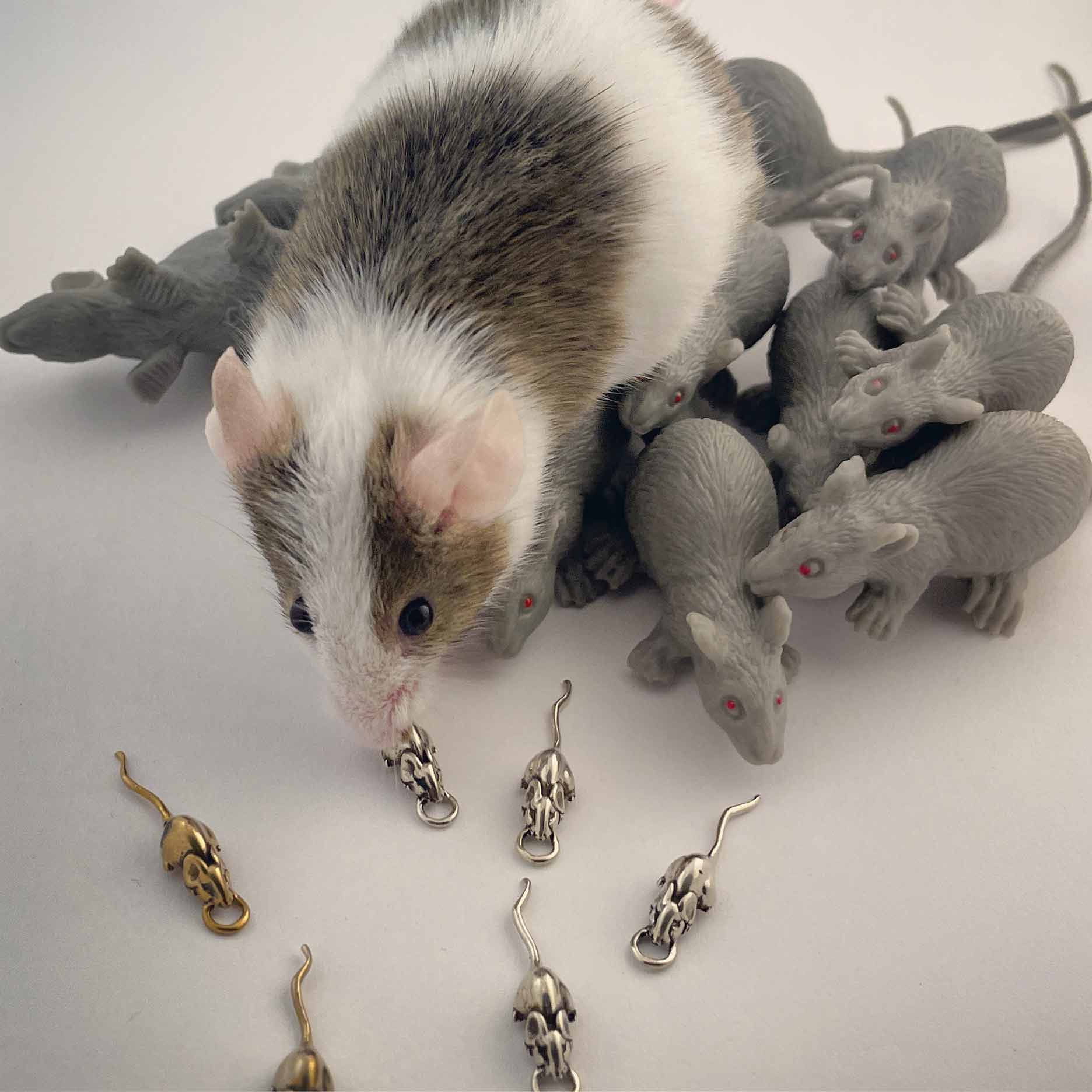 Rat Hoop Earrings - Image 11