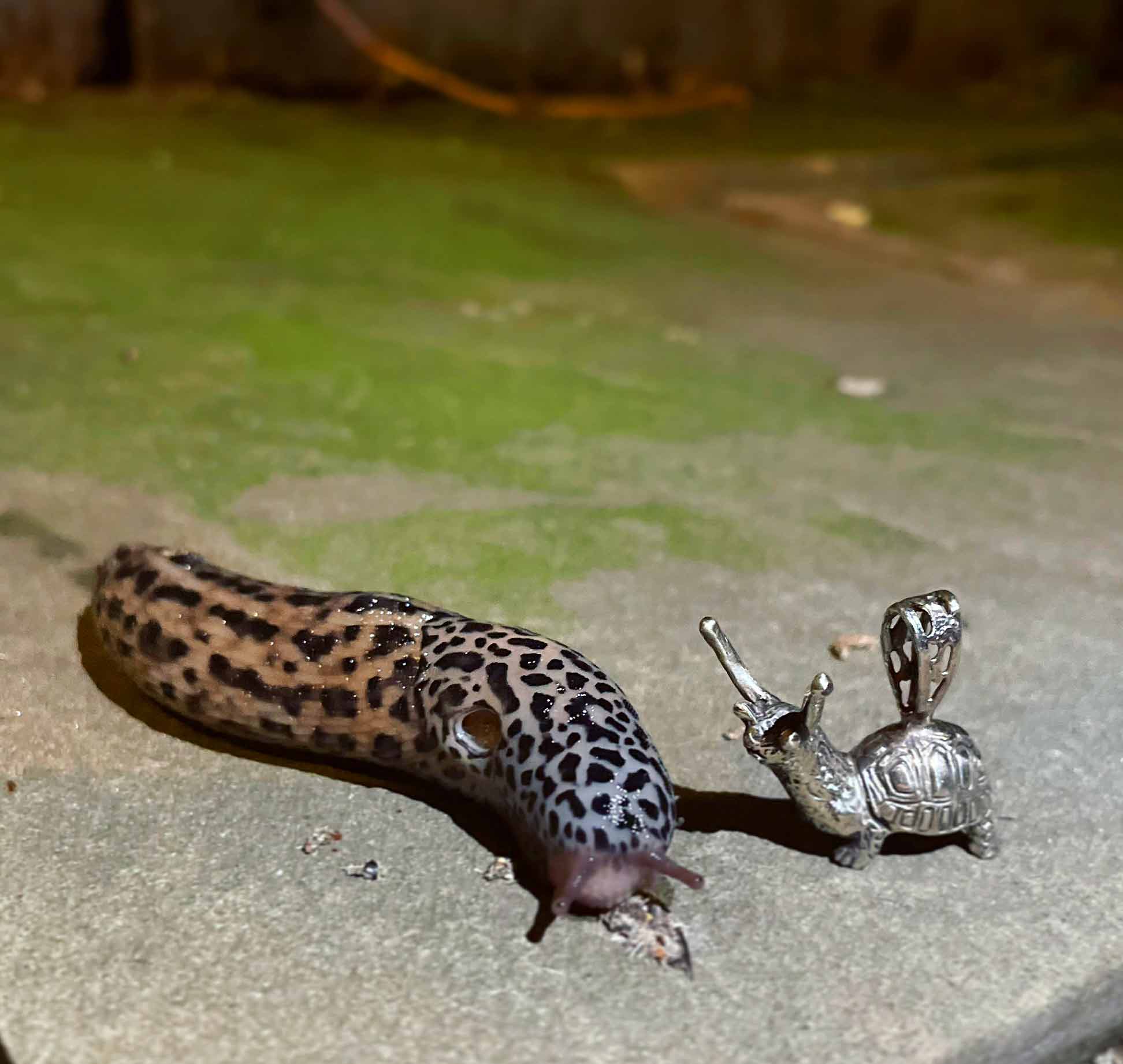 Slug Turtle Necklace "The Slurtle" - Image 9